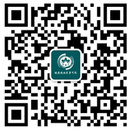&#20080;&#29699;&#45;&#20080;&#29699;&#65288;&#20013;&#22269;&#65289;